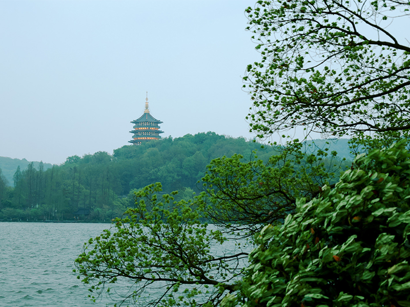 人文杭州，父母們來了！河南礦山第十三屆孝文化感恩旅游節(jié)第三站
